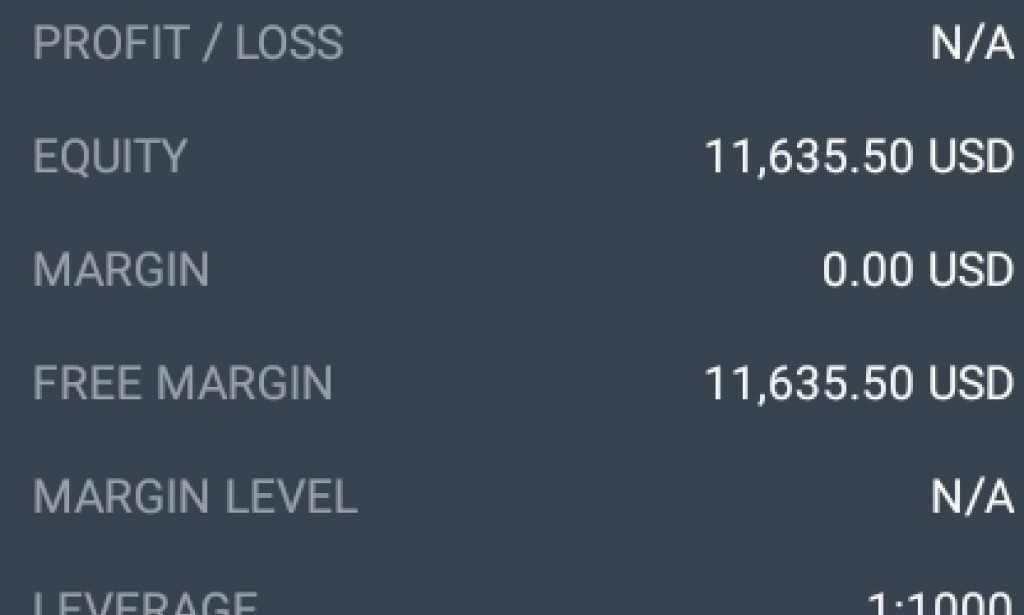 How I Made my 1st 10000$ from 10$