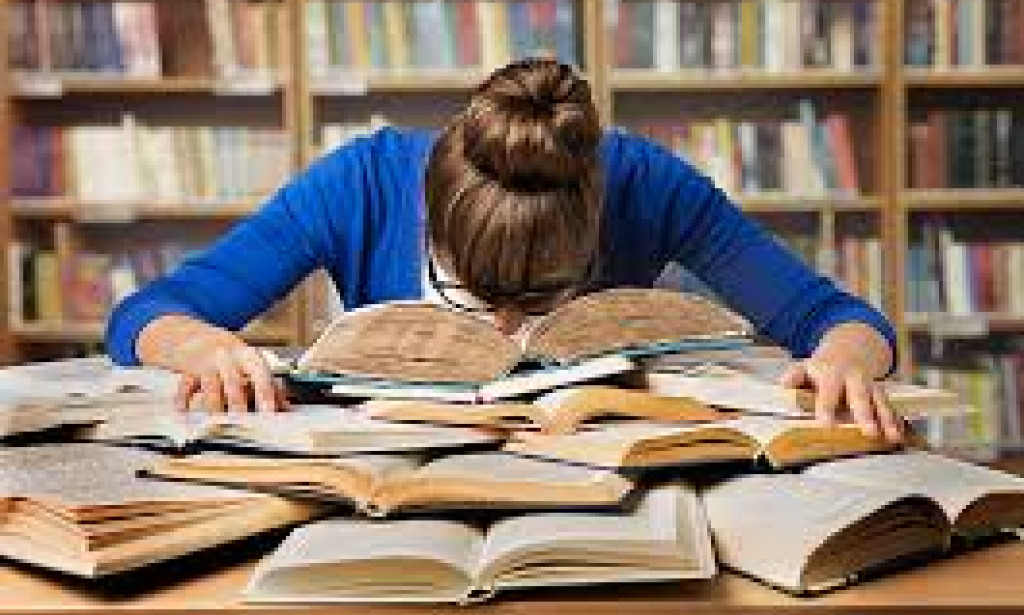 HOW TO SUCCEED IN THE UNIVERSITY