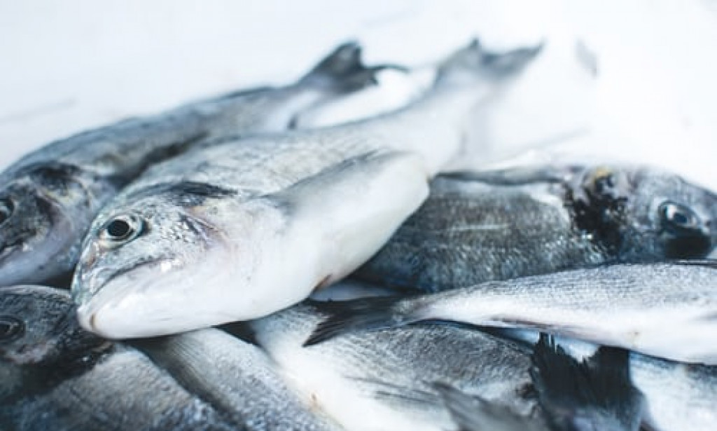 White Fish