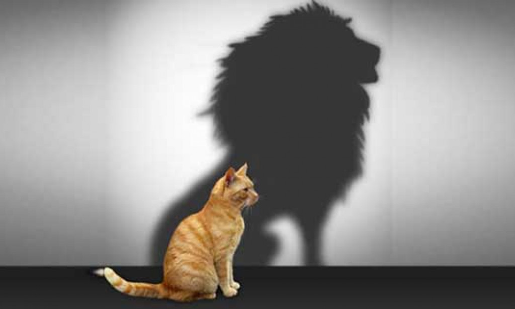THE POWER OF SELF WORTH.