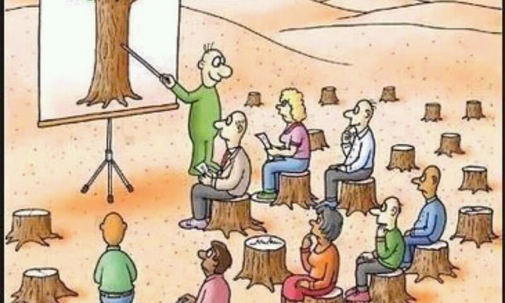 Deforestation and it's effects