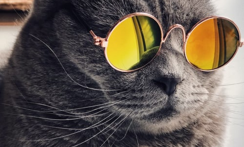 8 Effective Lifestyle Modifications to Deal with Anxiety Associated with COVID-19