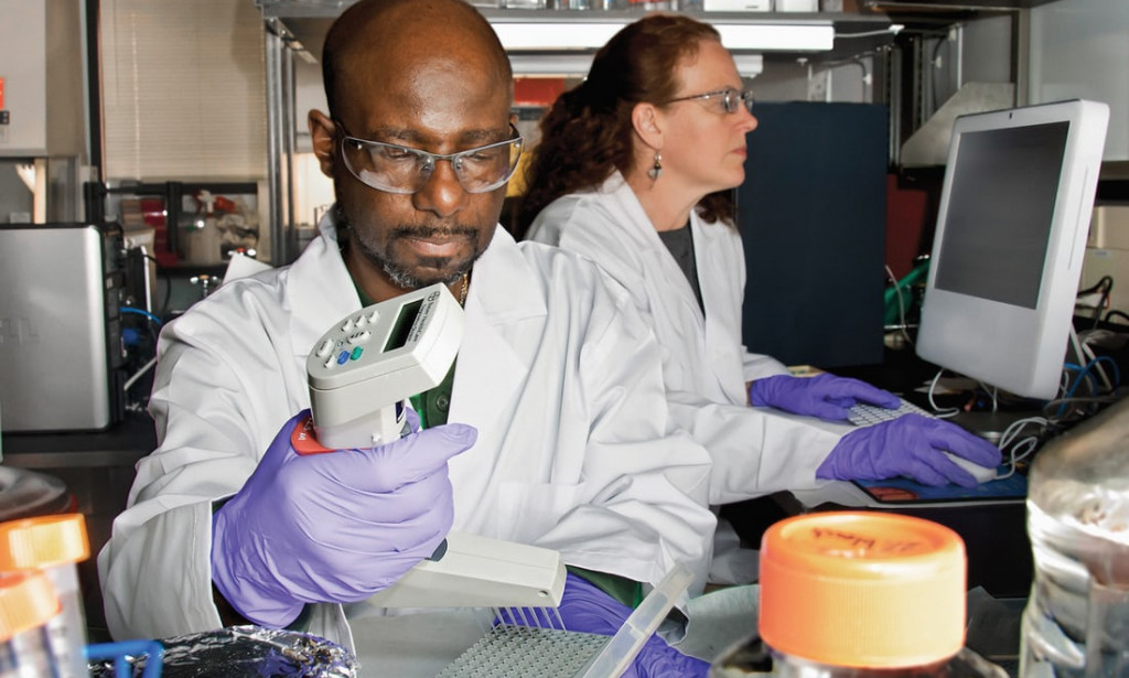 How sickness can be reduced in our country like malaria