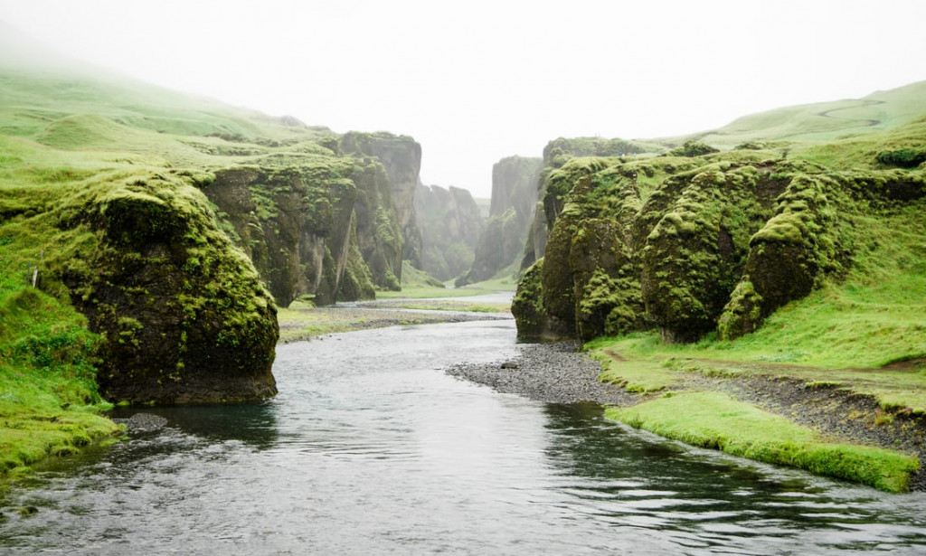 Fight hunger in the horn of africa.