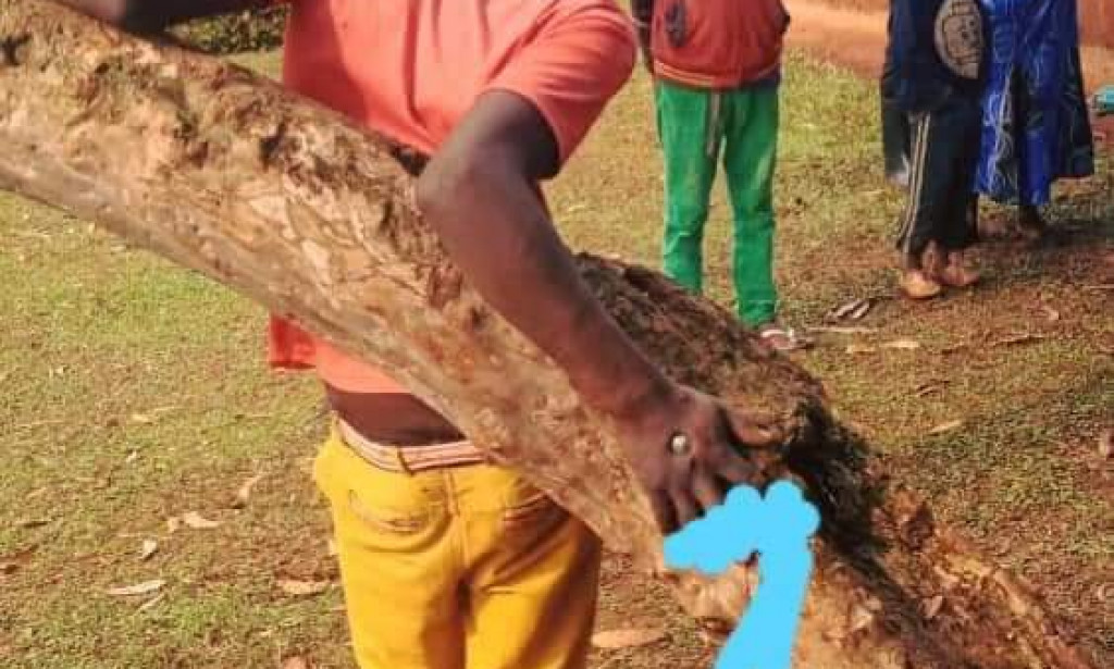 Young Man Crucified like Jesus for Stealing-Jibril Jnr