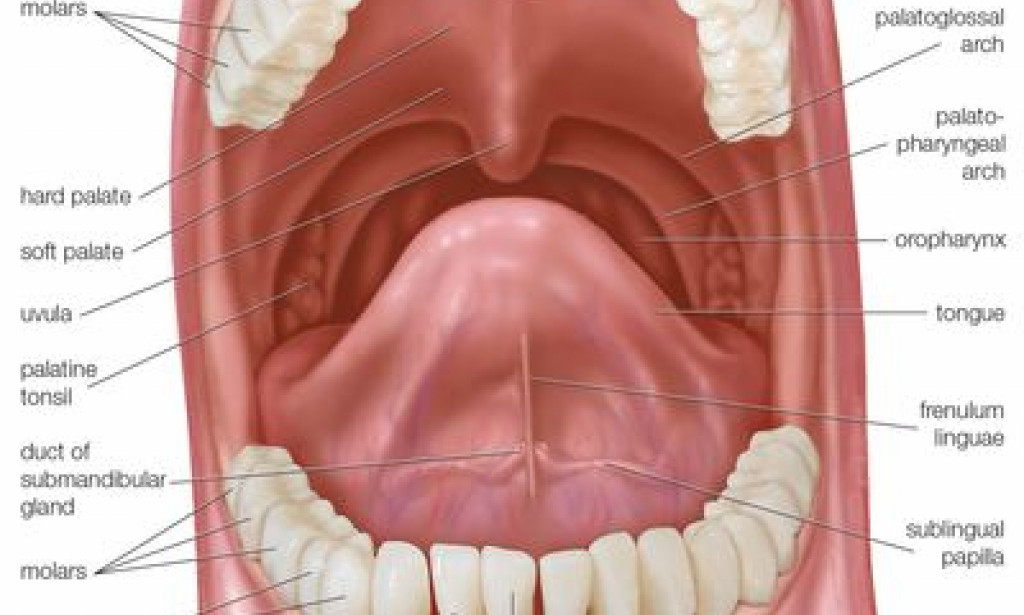 why you shouldn't m4sturbate