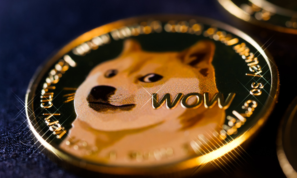 1xdogecoin.com Reviews Scam or Legit Register Login how 1xdogecoin  works
