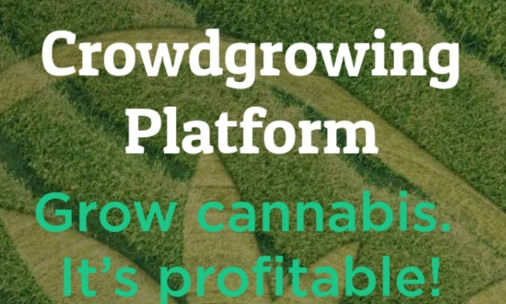 JUICYFIELDS. IO REVIEW LEGIT OR SCAM