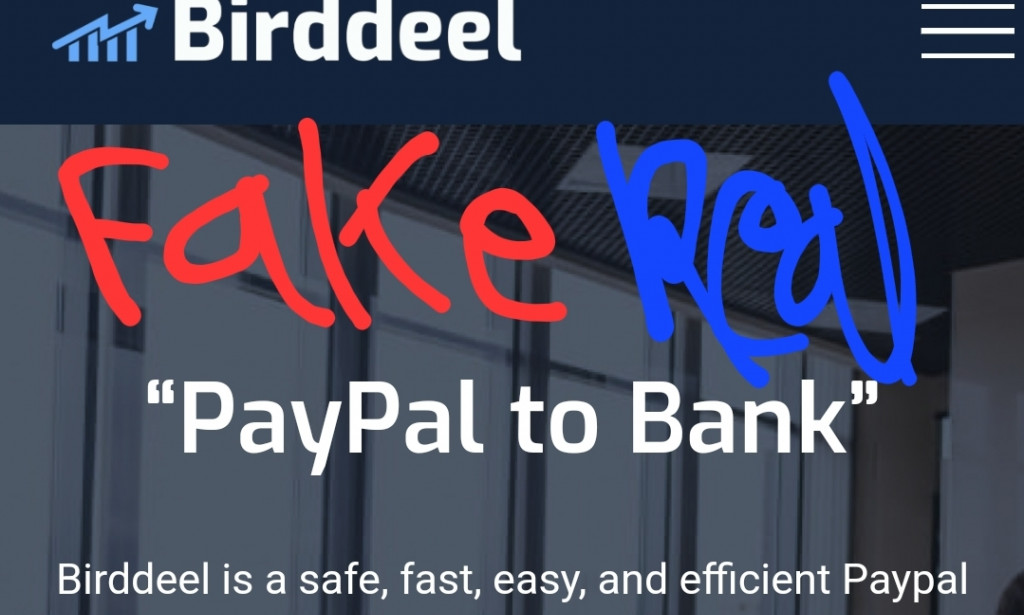 Birddeel Reviews Scam or Legit Register Login how birddeel.com works