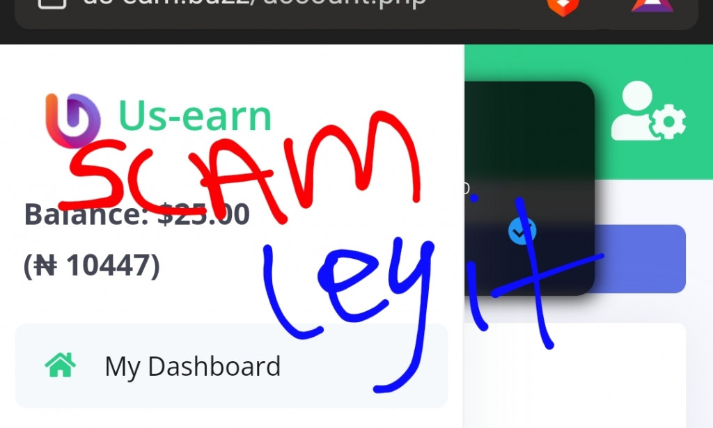 Us-earn Review Legit or Scam Register Login how Us-earn.buzz works