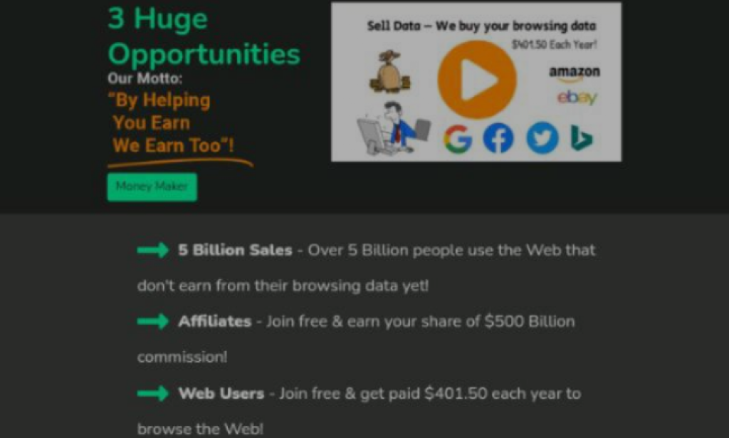 How to earn with 5billion sales website