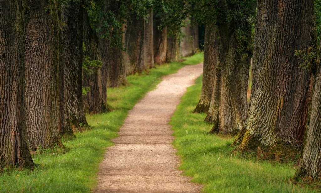 The African Bottocks