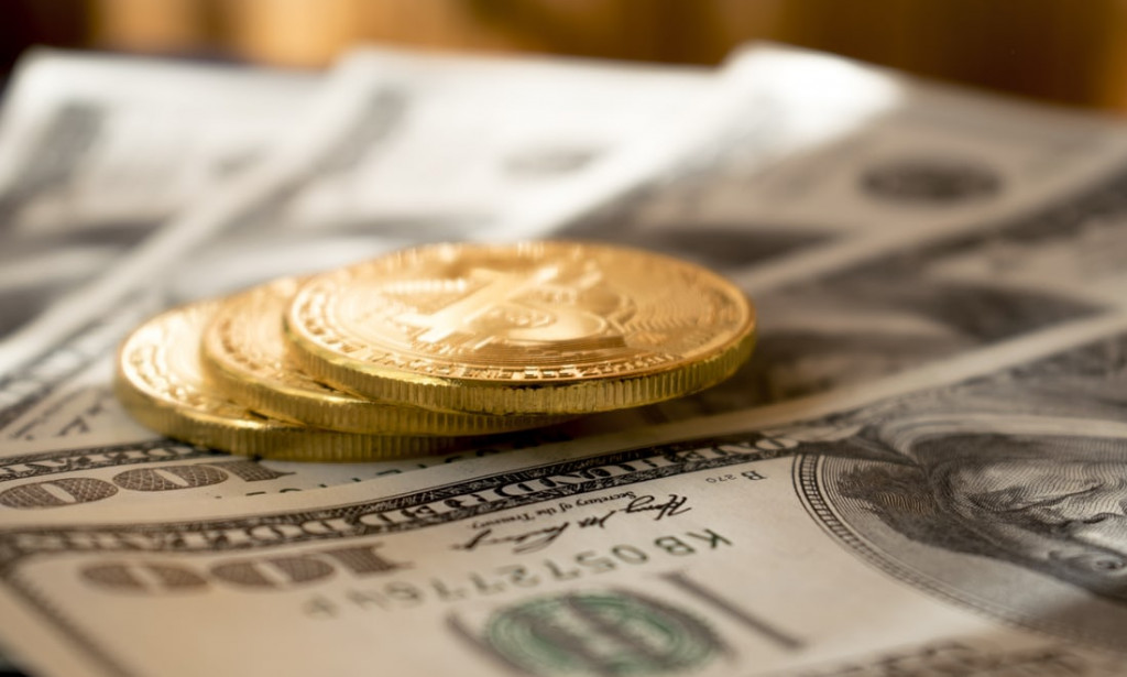 Cryptocurrency: A Basic Insight