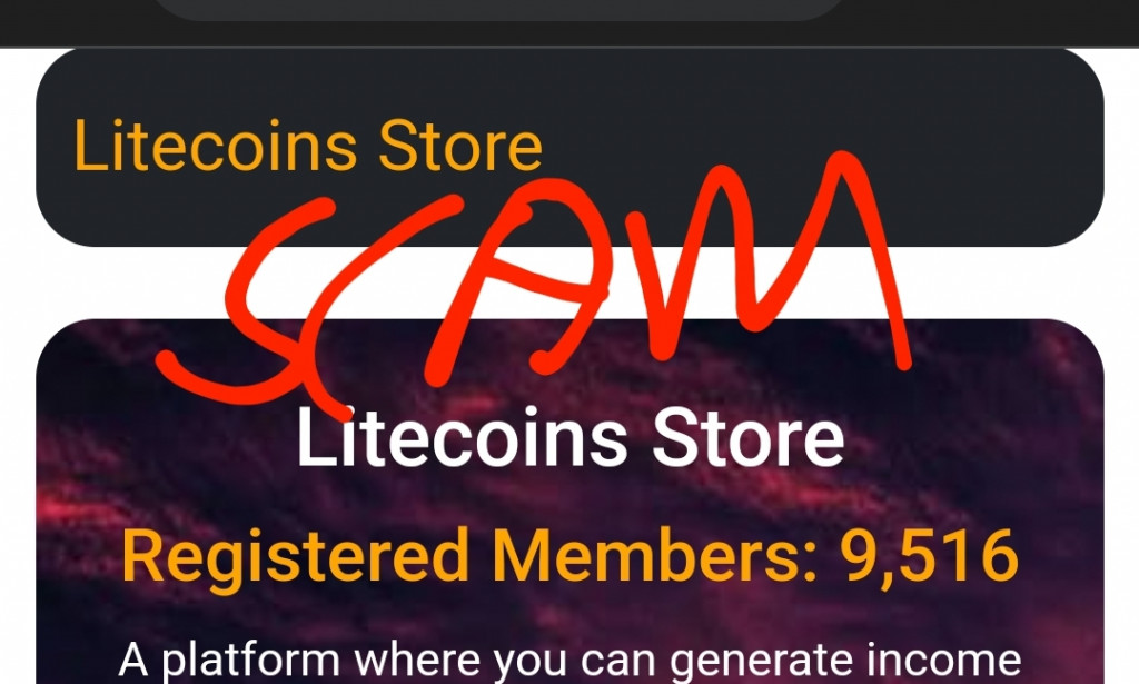 Litecoins store Reviews Scam or Legit Register Login how litecoins.store works