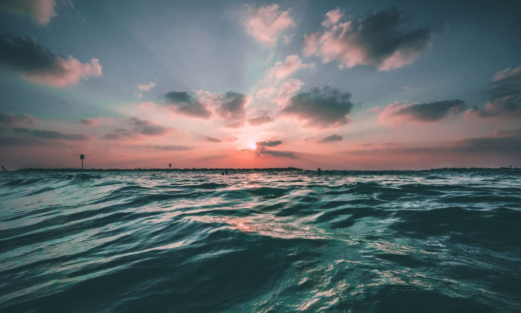 Fascinating facts about Ocean life