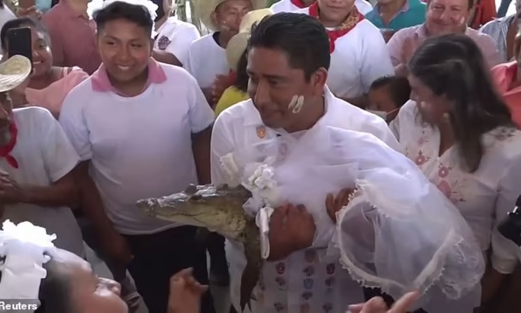 Human gets married to an Alligator