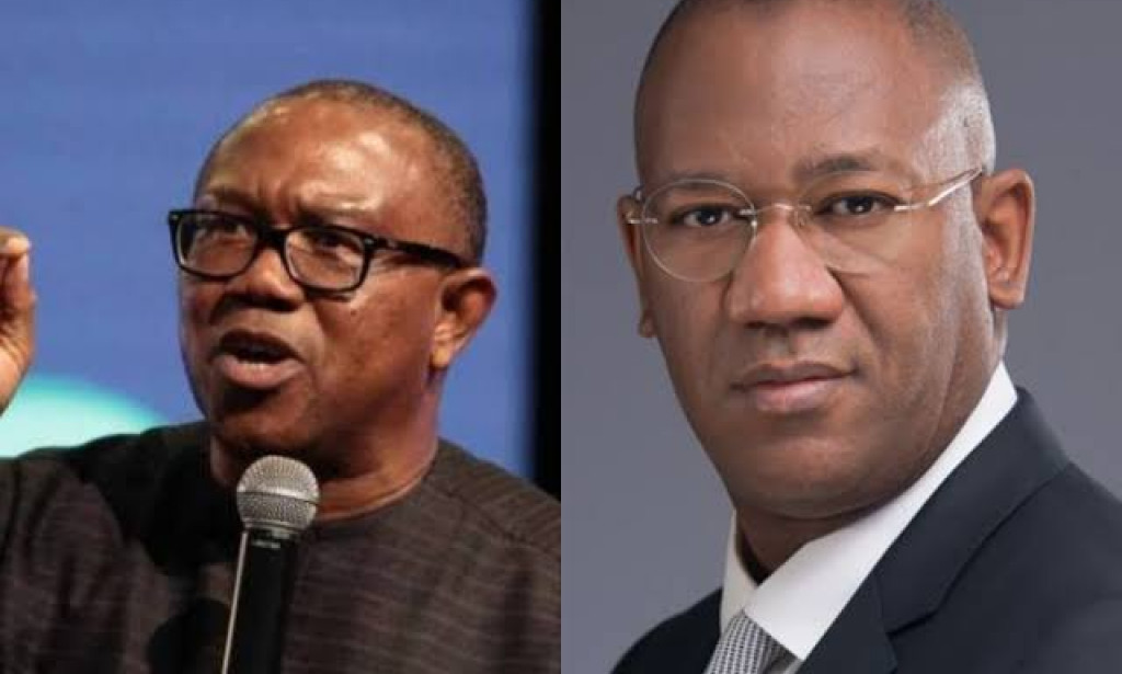 Why did I pull out of the PDP governorship essential-Peter Obi's running mate, Datti Baba-Ahmed