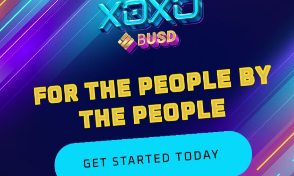 Xoxo Busd review Scam or Legit register and login how xoxo Busd works