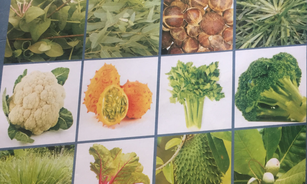 Cancer cure naturally