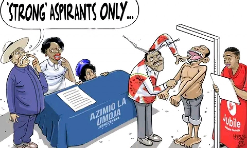 Voice of chakol north ward