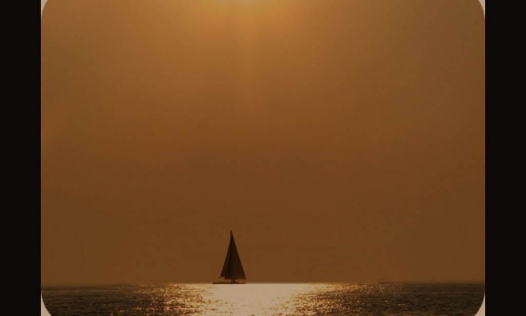 HOW POULTRY KISSED MY LIFETIME