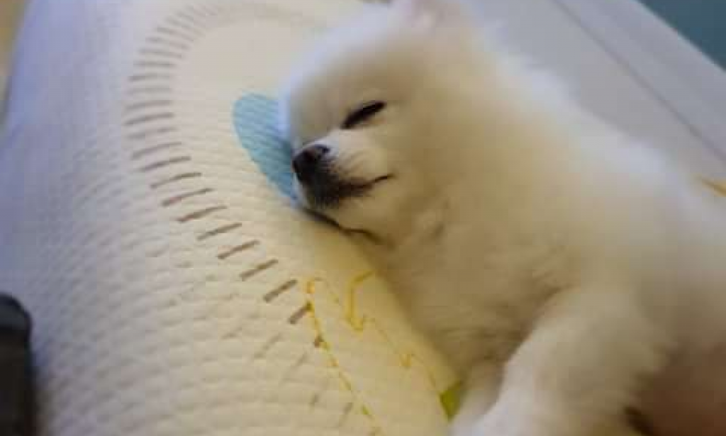 Knowing your environment add to your knowledge