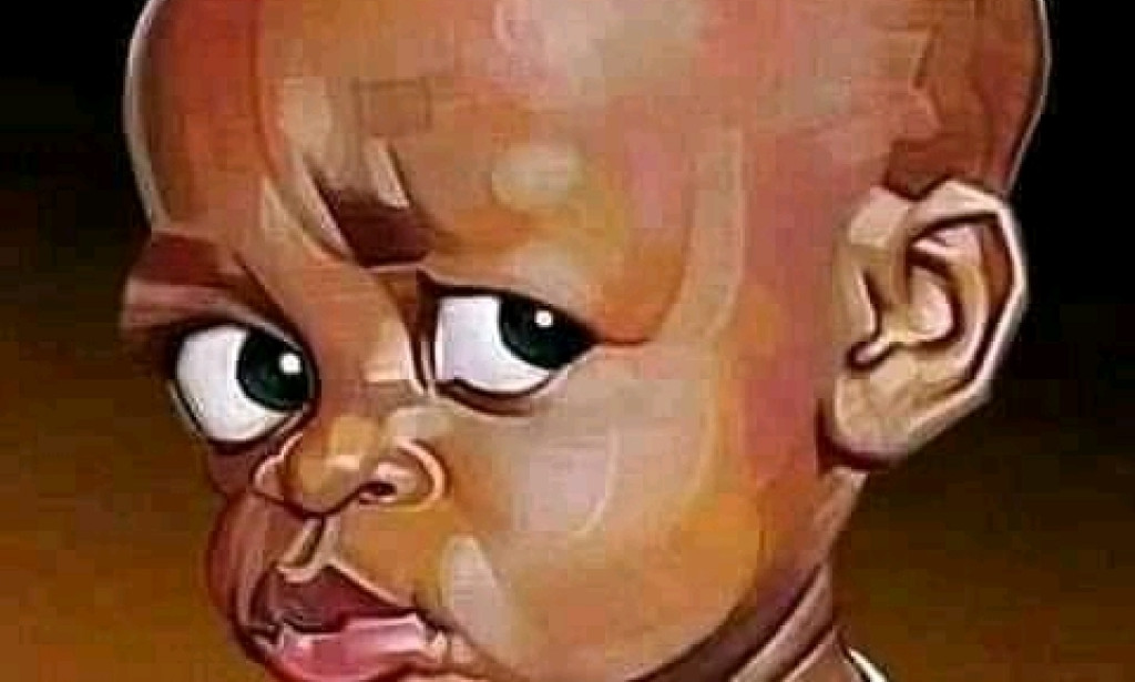 We Paid #18.9 Billion Naira For Clearing Bush.