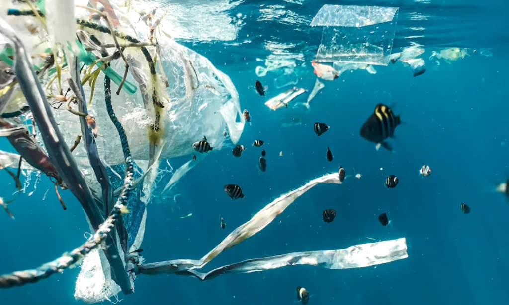 Main Causes Of Water Pollution
