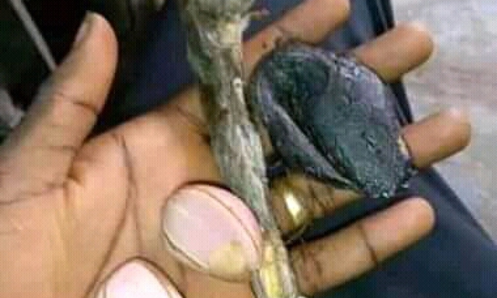 Fight evil people against your business