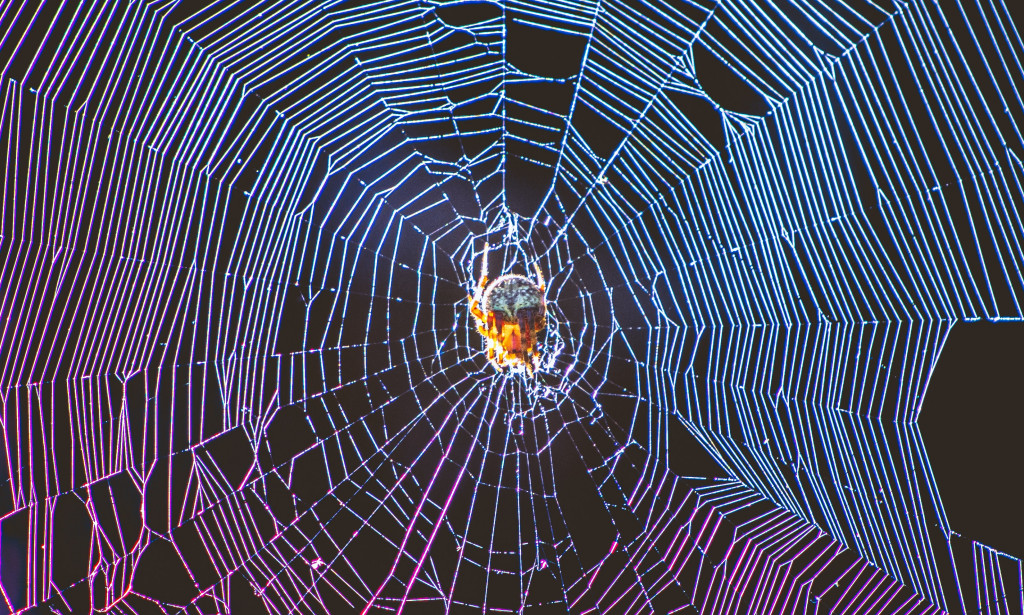 Facts about Introvert