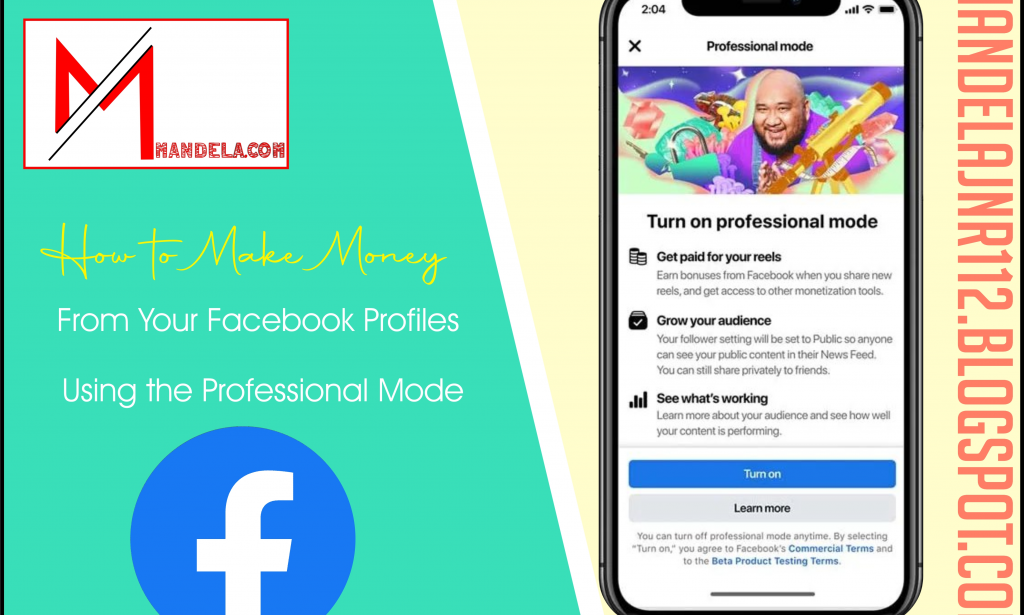 How to Make Money From Your Facebook Profiles Using the Professional Mode