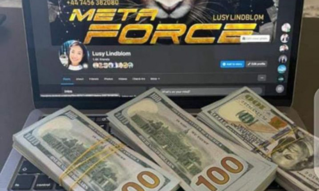 Meta-force  complete decentralized system to earn unlimited funds.