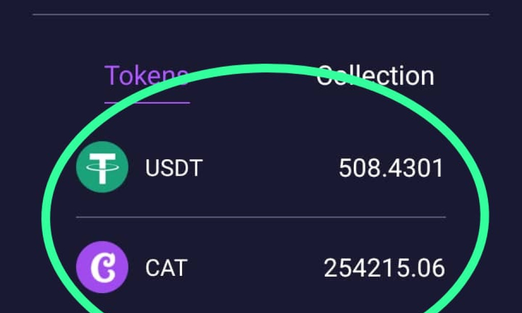 CATSTAR MINNING APP REVIEW SCAM OR LEGIT CatStar apk