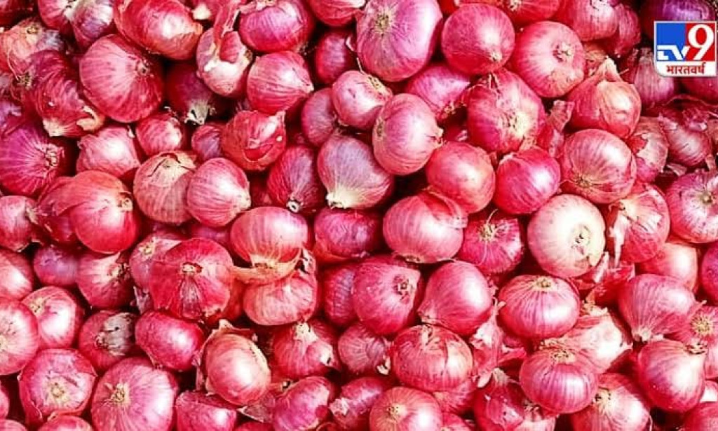 BENEFITS OF RED ONION