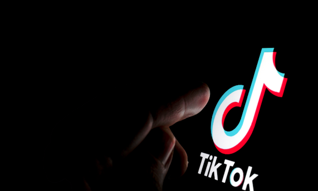 Review of the social media platform TikTok