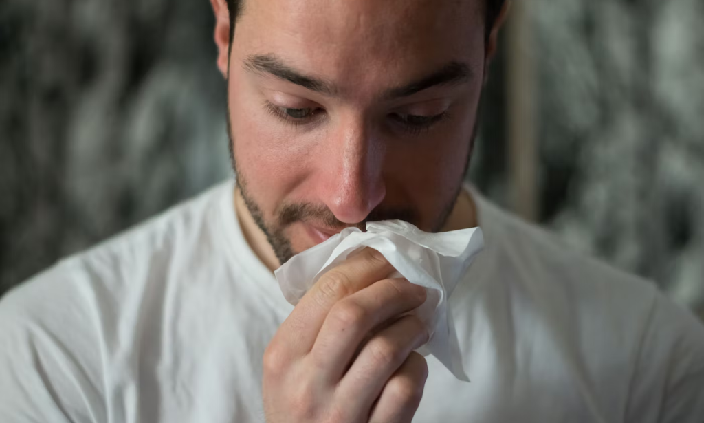 Important must read The Out Break Of The Bird Flu