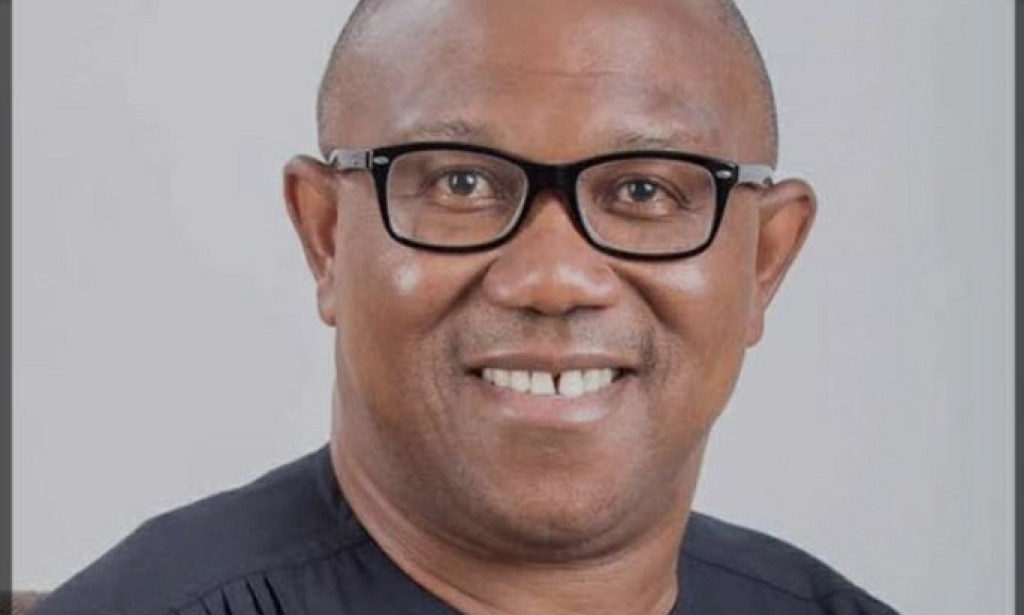 Peter Obi's Biography