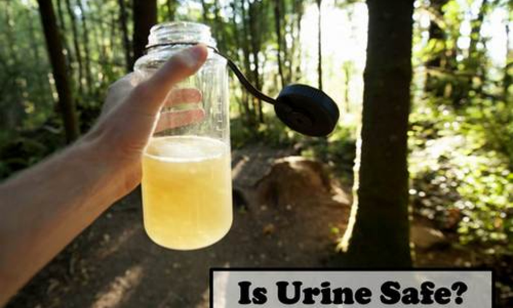 Is Urine Safe to Use in the Garden?