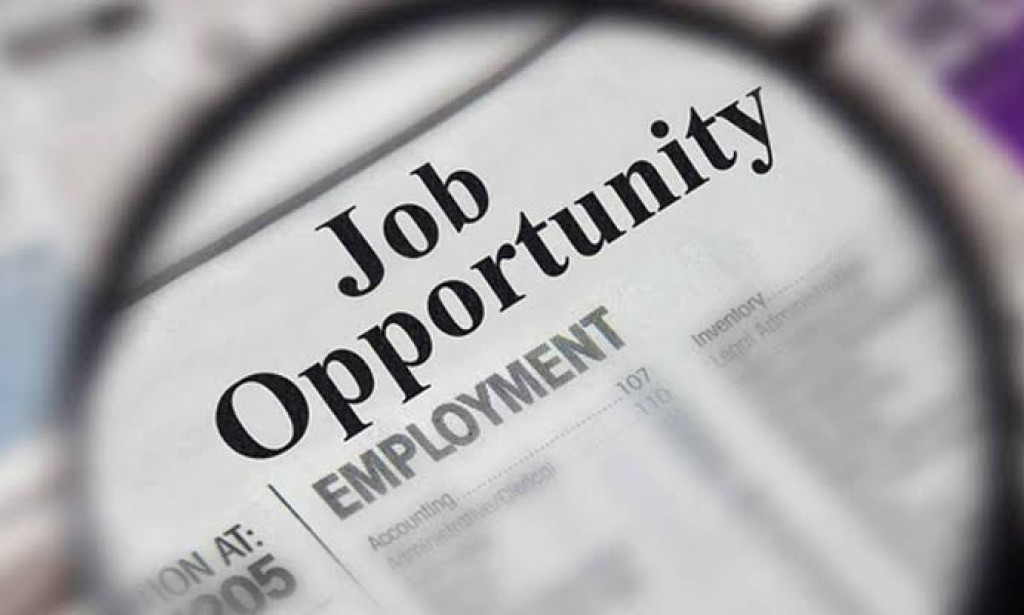 Job Opportunities: Navigating the Post-Pandemic Job Market