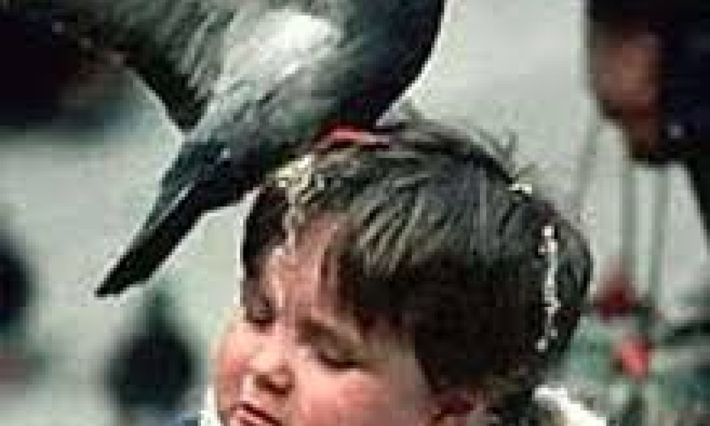 Bird poop embarrassment.