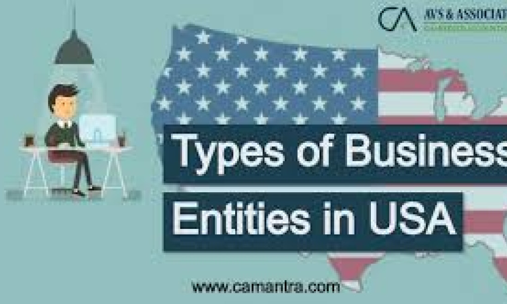 USA Business Types.