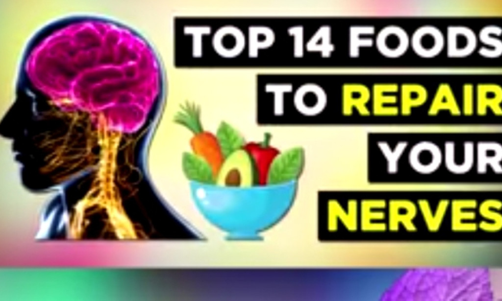 Top 14 Best Foods for Your Nervous System
