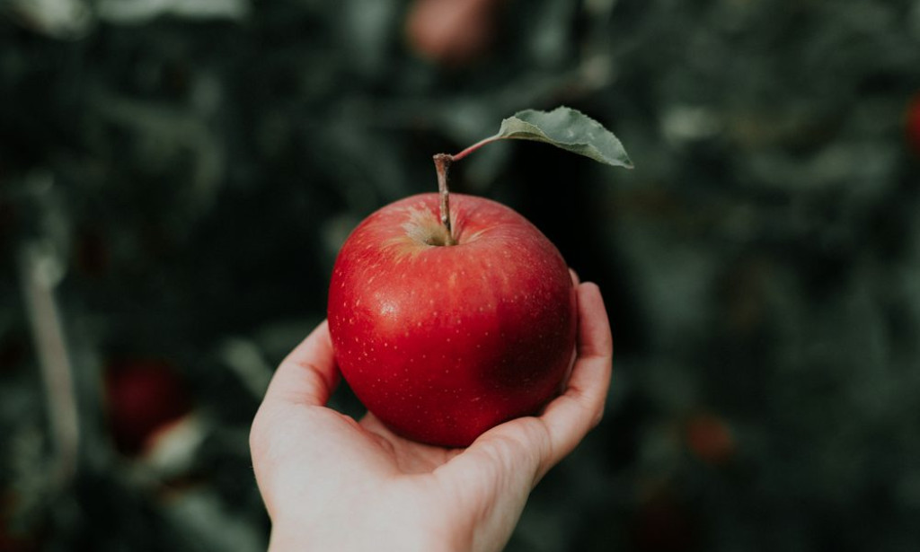 Boost Your Health & Weight Loss: 7 Powerful Food Habits You NEED