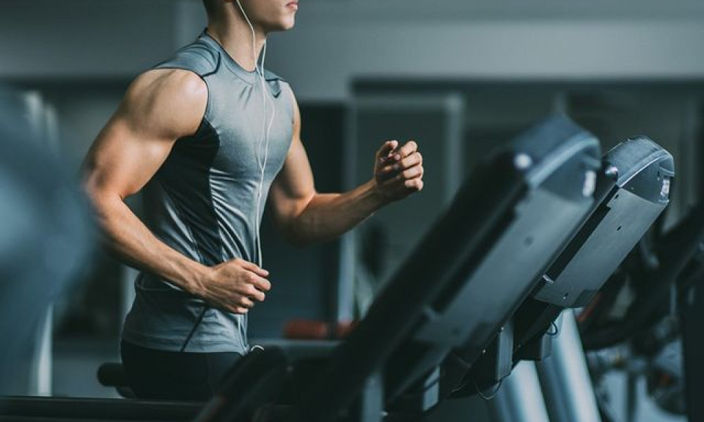 Master Your Workout: The Ultimate Guide to Gym Exercises