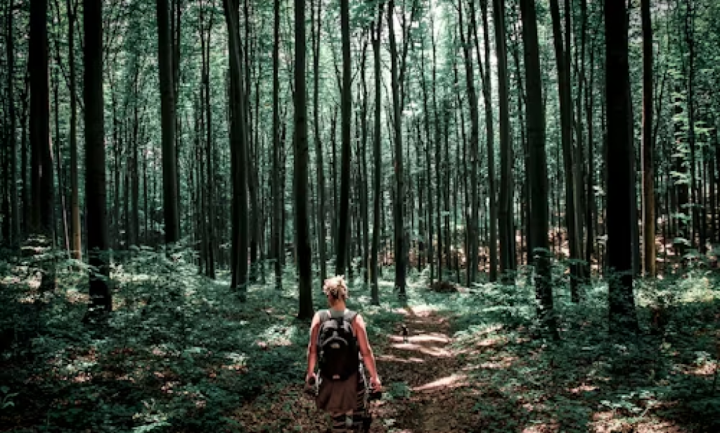 Beyond Appearances: A Bus Ride Encounter with the Unexpected