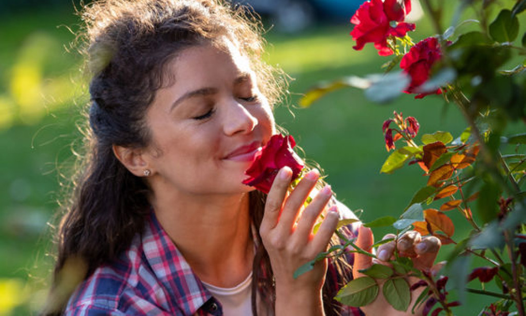 What Happens When You Stop Smelling?
