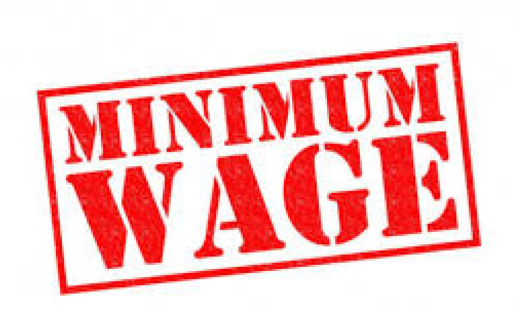 New minimum wage to be ready by July 2024- Nigeria Labour