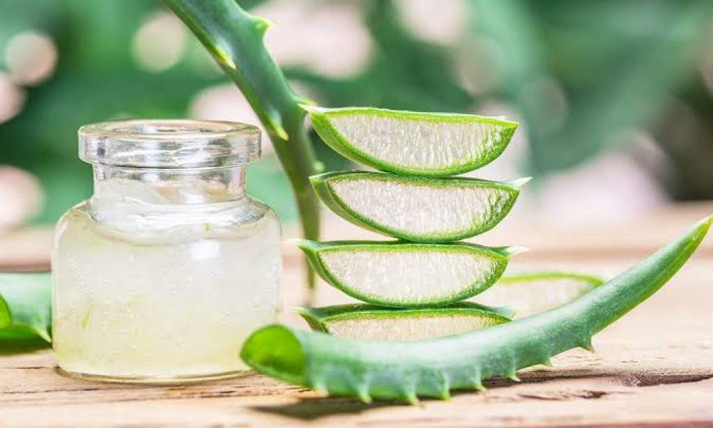 The Health Benefits of Aloe Vera: A Natural Wonder