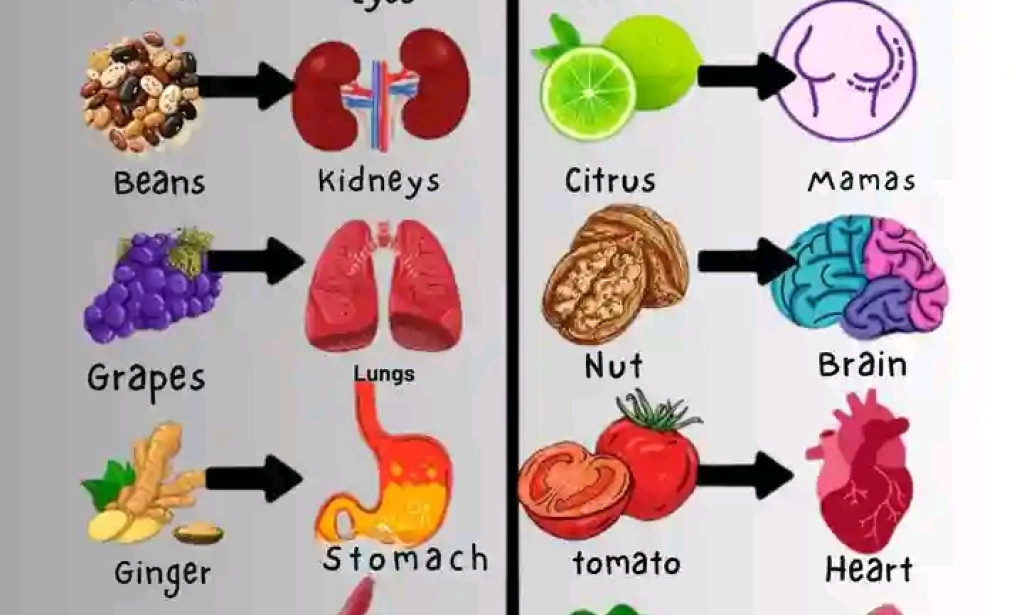 Healthy foods that provides nutrients