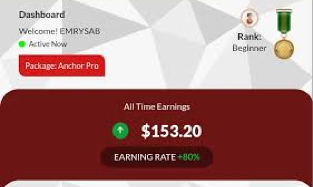 The Sinking of Anchor: Uncovering the Reasons Behind its Collapse